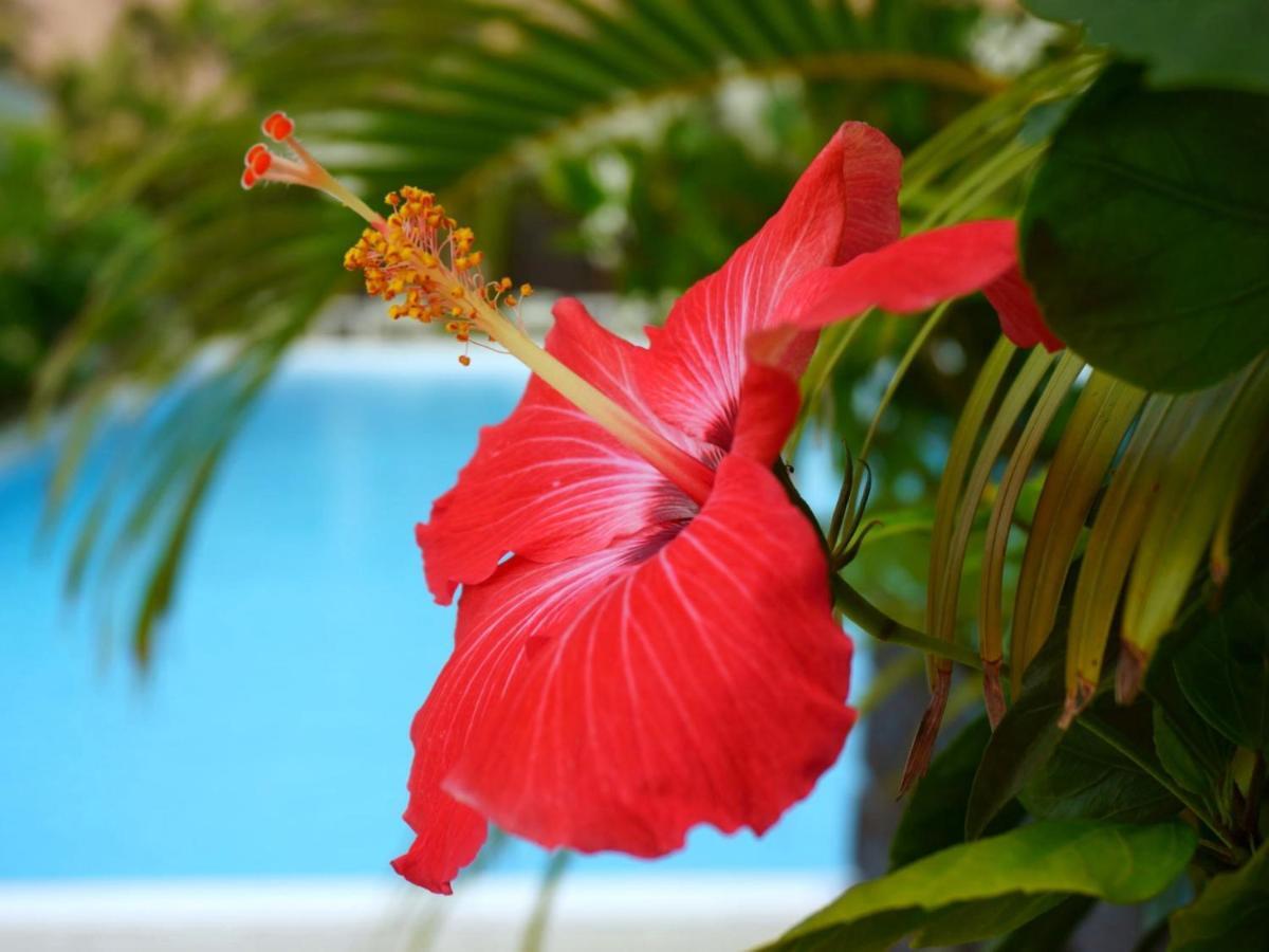 Hotel Palm Tree Hill Okinawa Extérieur photo